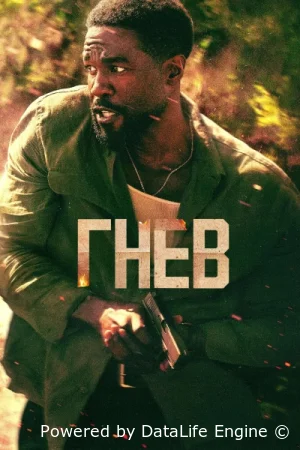 Гнев